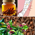 How to Make Homemade Clove Oil and the Powerful Benefits It Offers