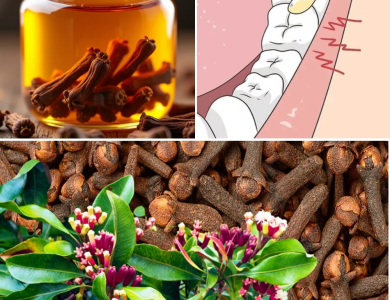 How to Make Homemade Clove Oil and the Powerful Benefits It Offers