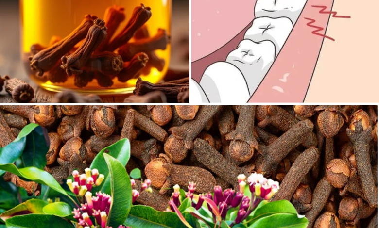 How to Make Homemade Clove Oil and the Powerful Benefits It Offers