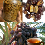 Don’t Throw Away Date Seeds – Here’s Why They’re So Powerful