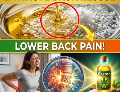 Stop Stretching Your Sore Back! The 2-Minute “Liquid Spring” Oil Hack for Lower Back Pain