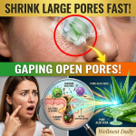 The Secret to Shrinking Large Pores: The Exact Timing for a Flawless, Glass-Skin Complexion