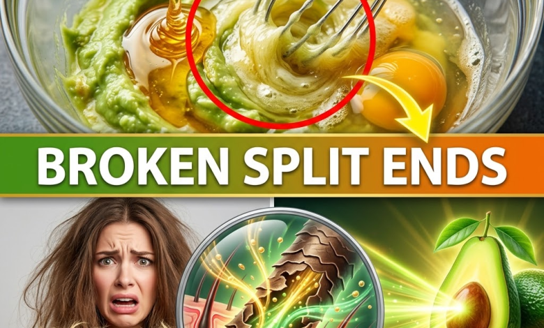 The Secret to Repairing Severely Damaged Hair: The Exact Timing and Golden Ratio for Silky Strands