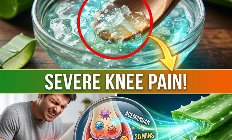 The Secret to Relieving Knee Pain: The Exact Timing to Soothe Inflamed Cartilage